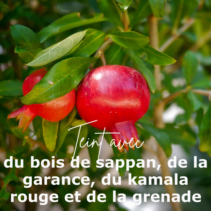 Plantes du coloris terre de Sienne