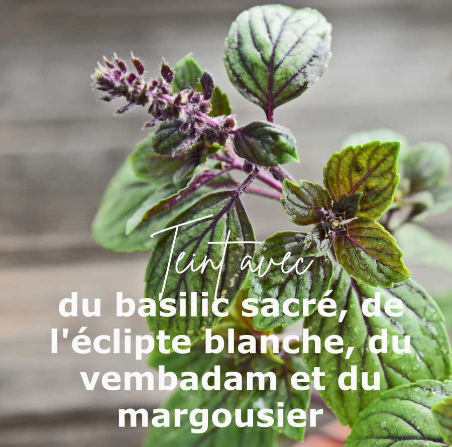 Plantes du coloris Feuilles de thé