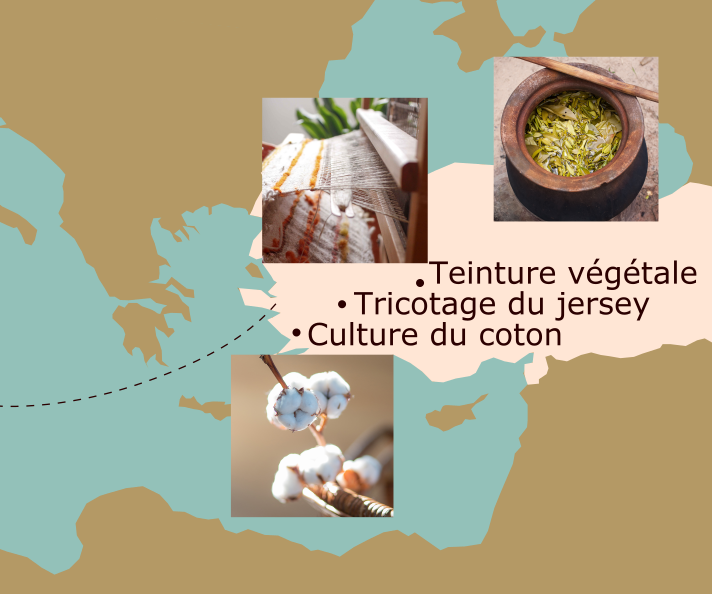 origine du coton bio natura feel