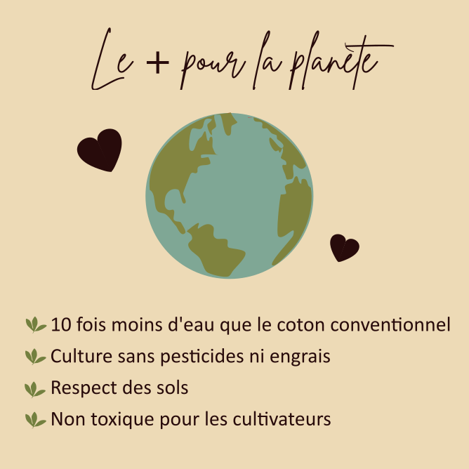 culture du coton bio eco responsable natura feel