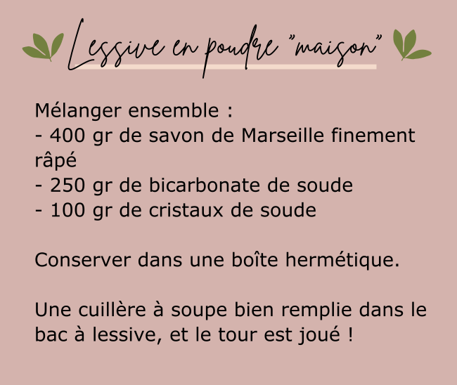 recette lessive en poudre maison natura feel