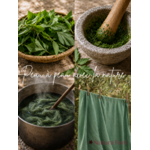 Teinture à la chlorophylle - Lierre