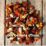Plantes du coloris Pêche - Natura Feel