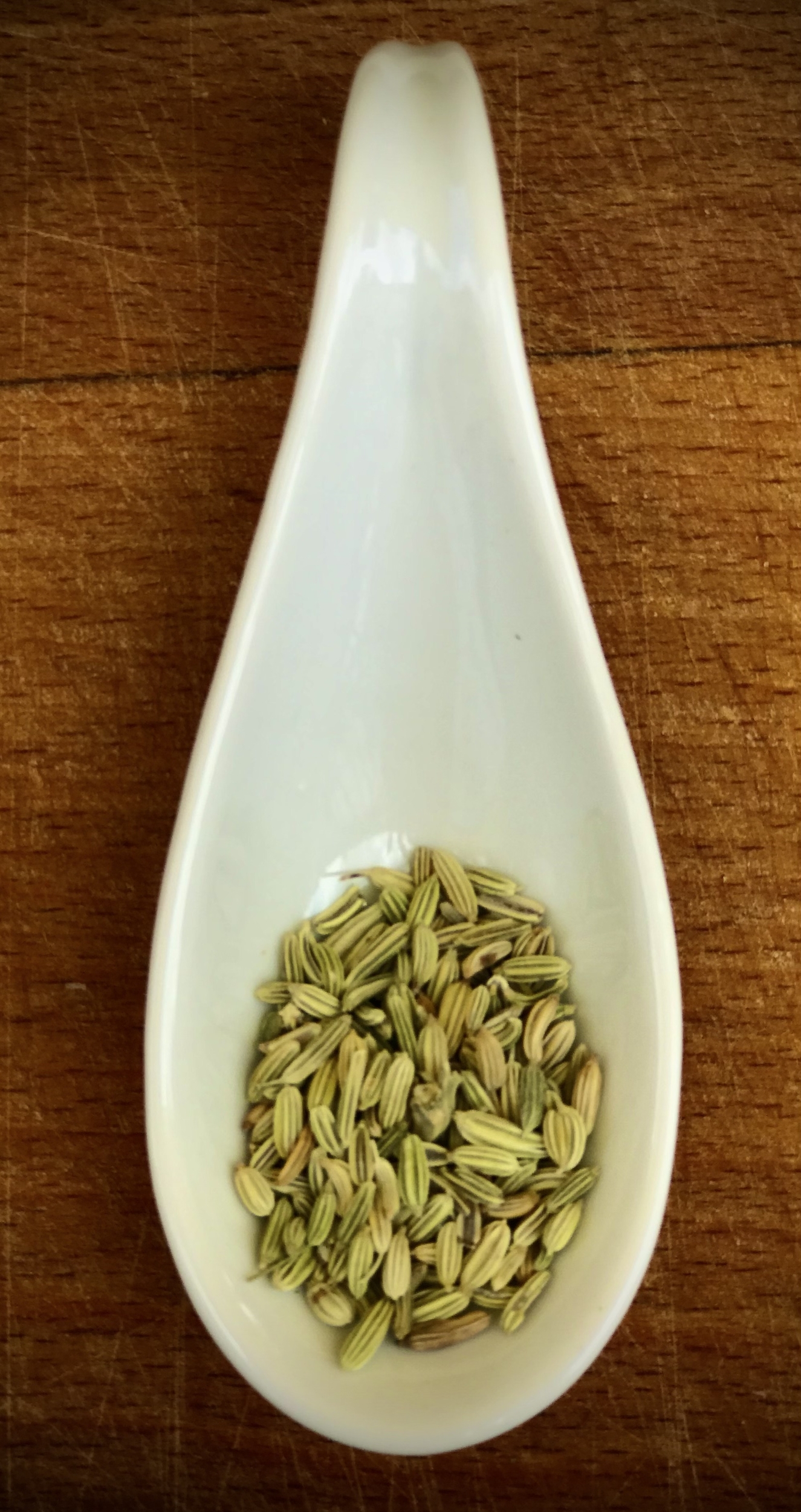Fenouil