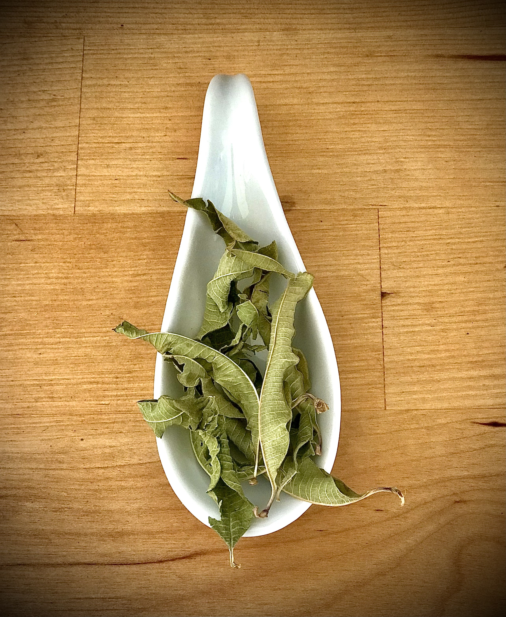 Verveine
