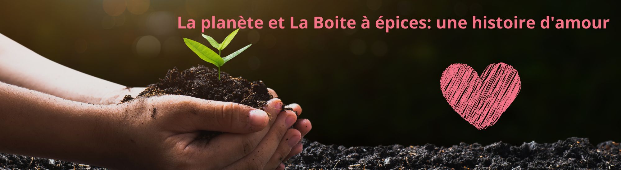 la planete et la boite a epices une histoire d amour