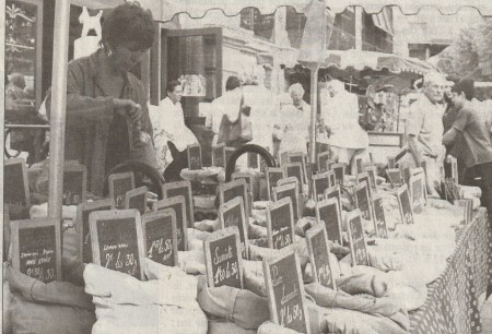 photo stand 2