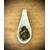 Menthe