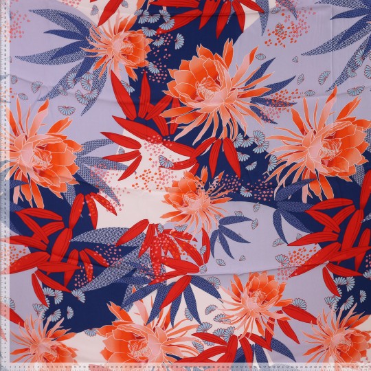 corail2