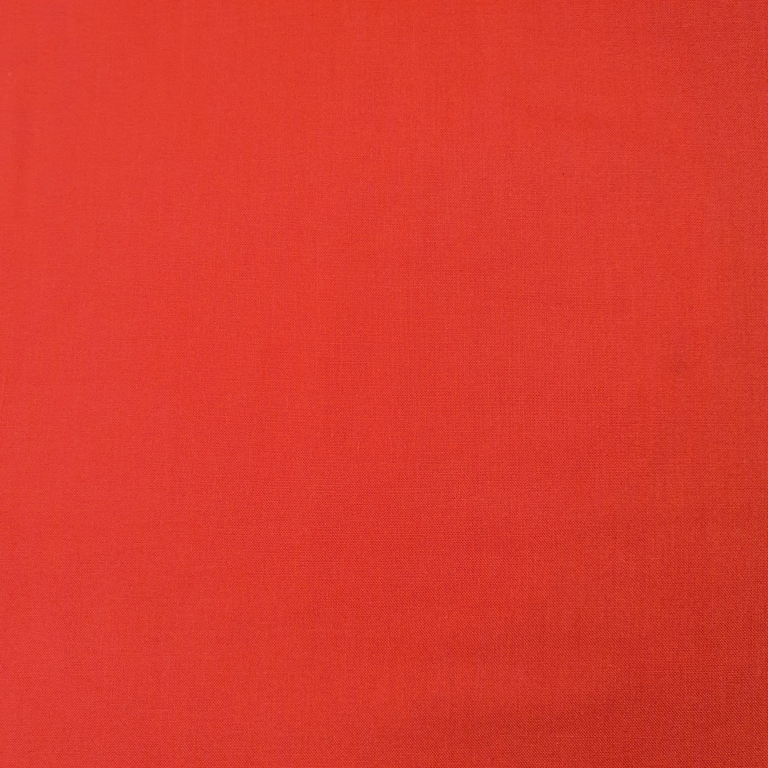 20221119_070452