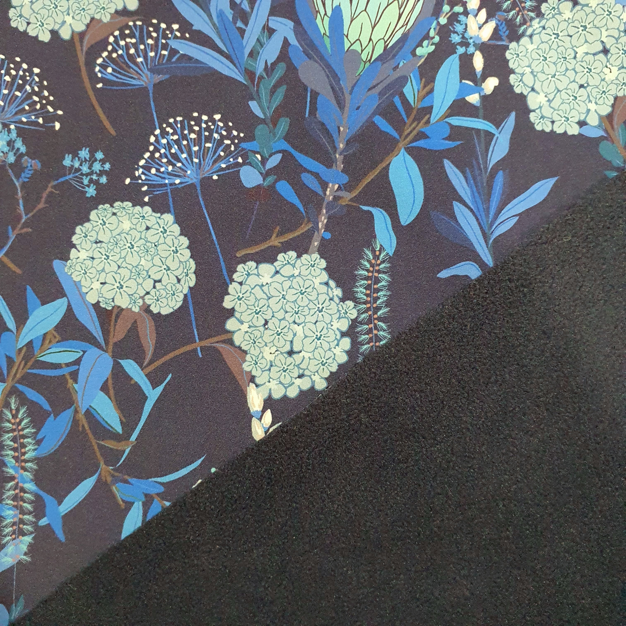 Tissu softshell fleur pissenlit bleu (2)