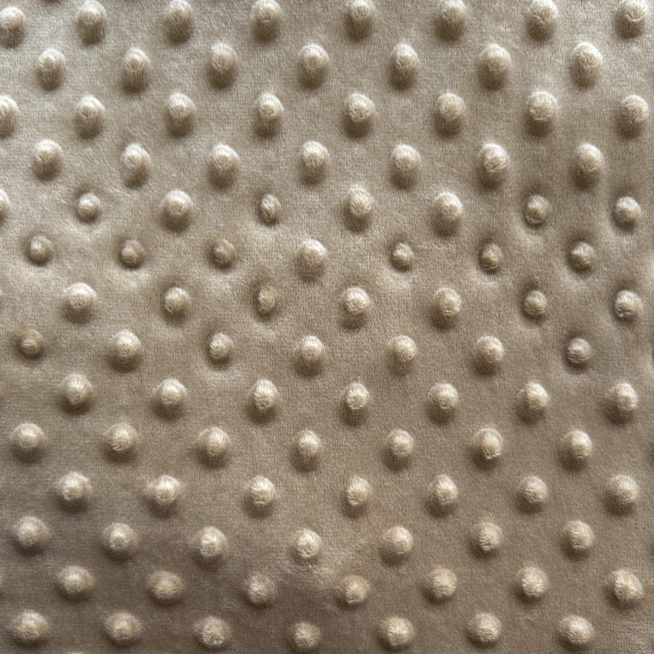 Tissu polaire minky uni à pois beige