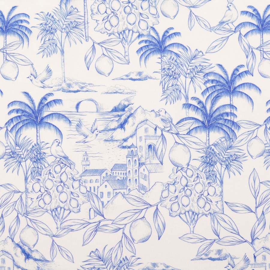Popeline de coton citron bleu et blanc (900) (2)