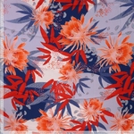 corail2