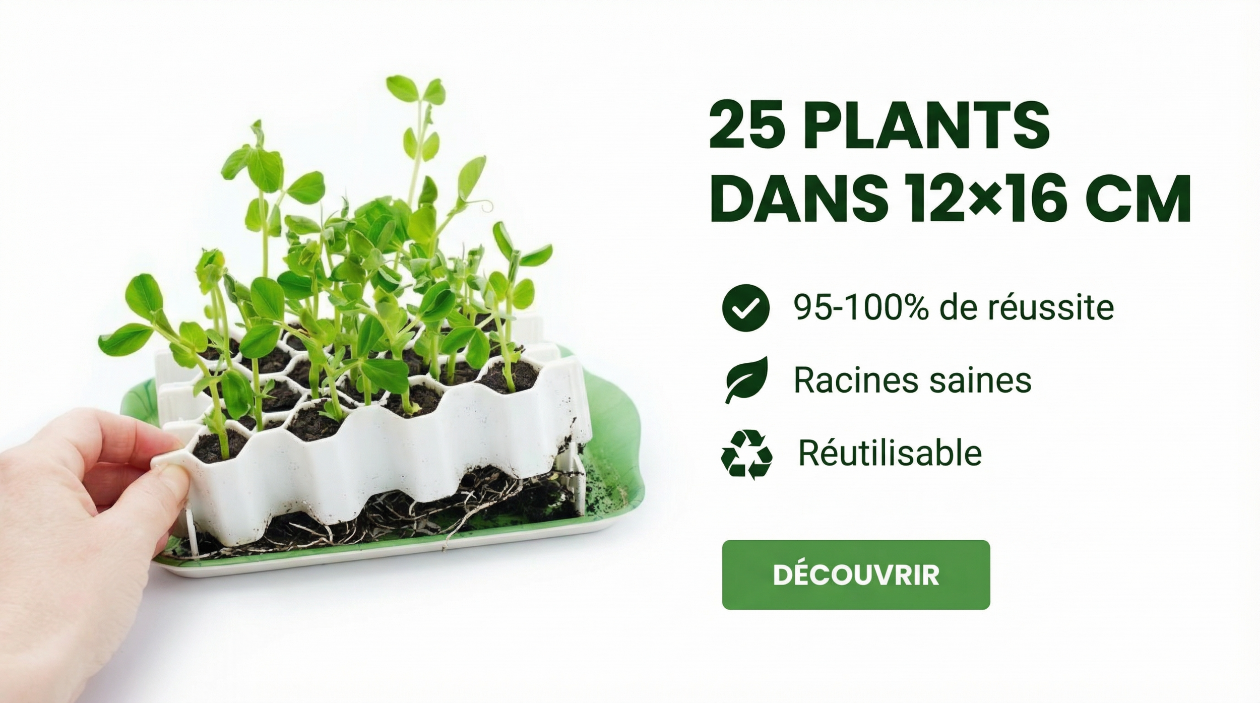 Kit de germination Germie : 25 plants dans 12×16 cm