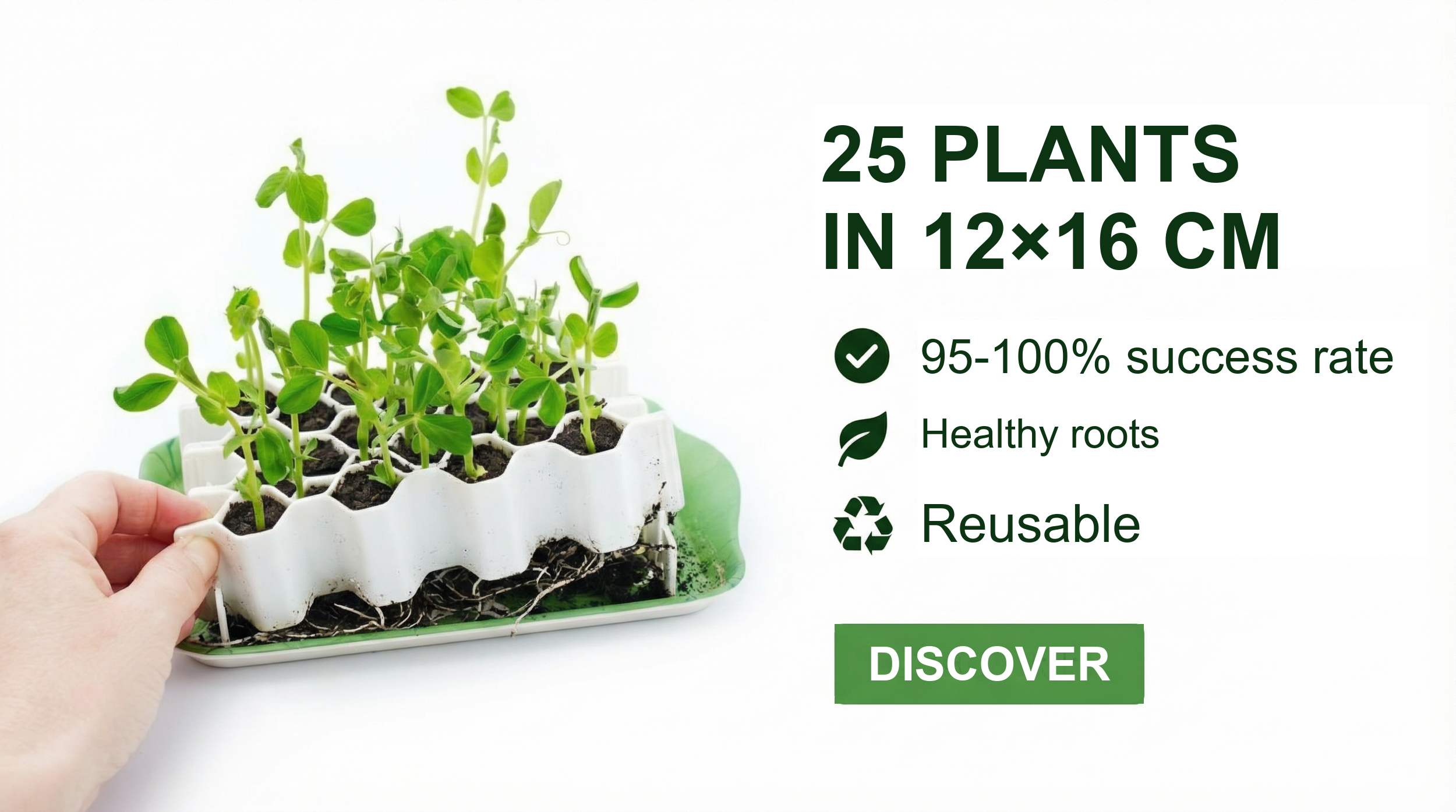 Germie germination kit: 25 plants in 12×16 cm
