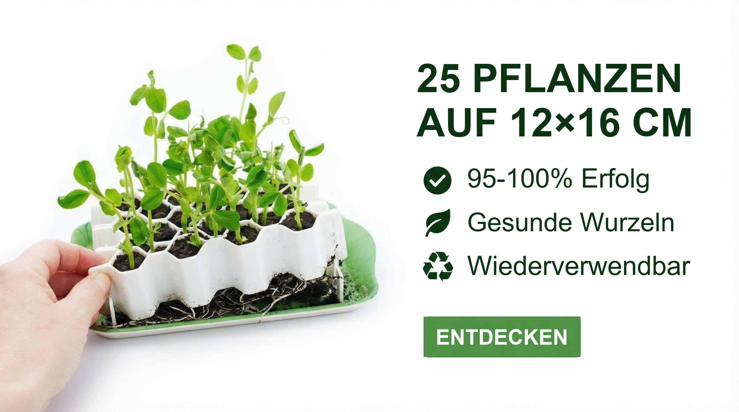 Germie-Keimset: 25 Pflanzen in 12×16 cm