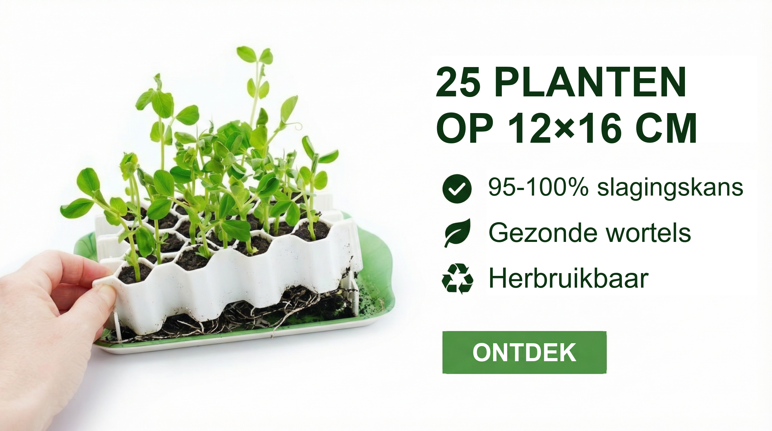 Germie kiemset: 25 planten in 12×16 cm