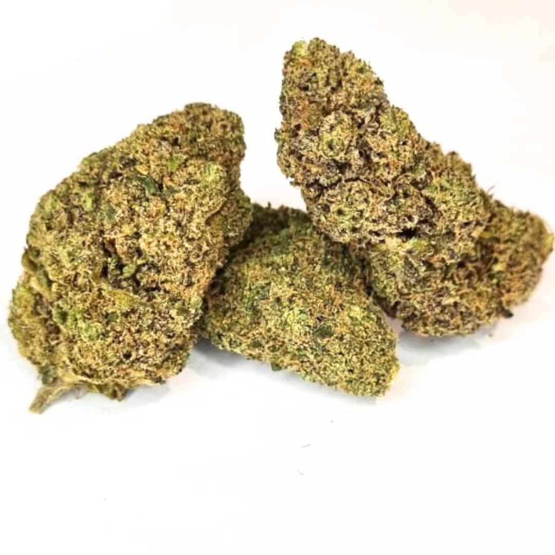 CRITICAL CHEESE