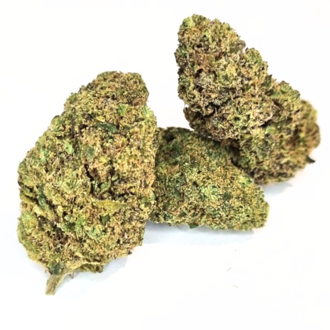 CRITICAL CHEESE (2)