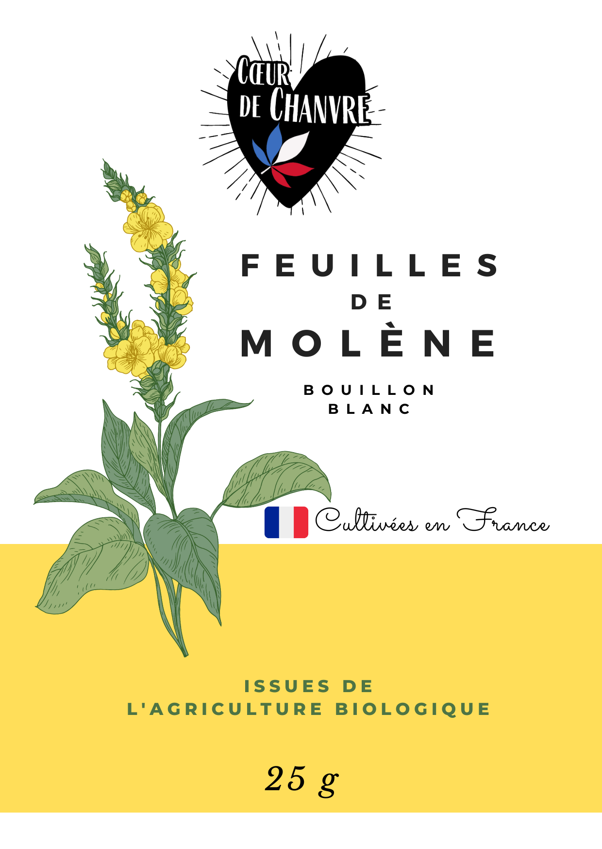 molène (1)