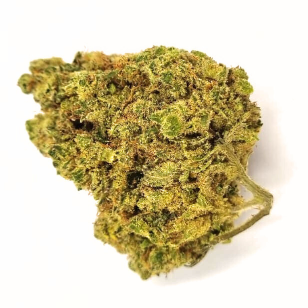 PHOTO POUR SITE (9)