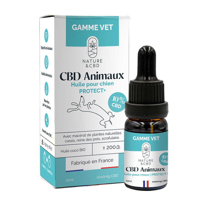 huile-cbd-animaux-protect-10-chien