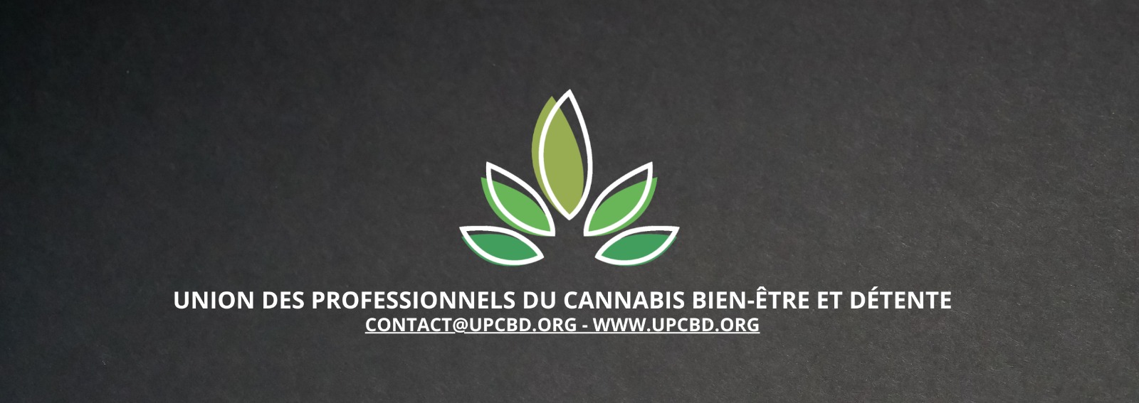 Test Salivaire THC - ACCESSOIRES - Le CannaPeace