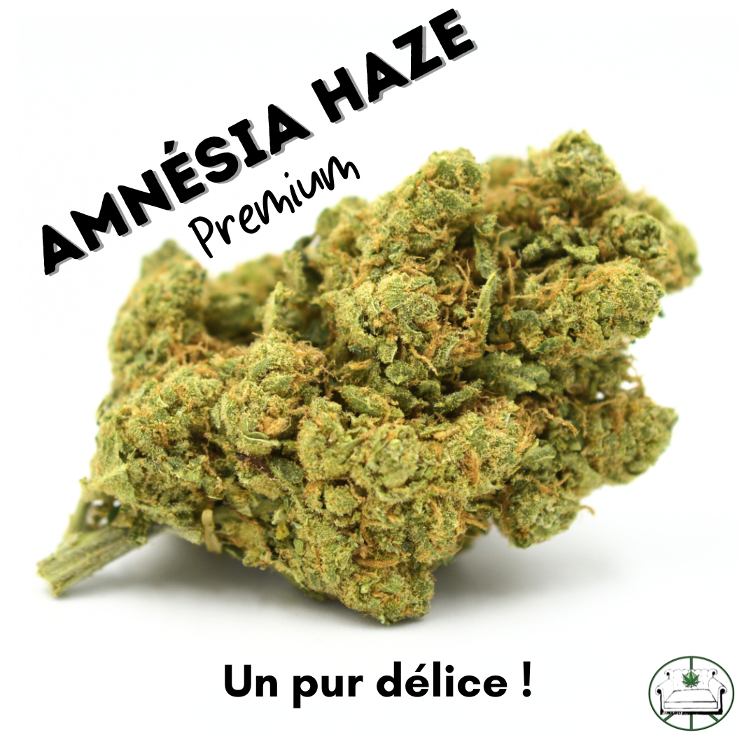 C'est ici pour la commander