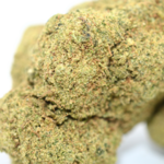 GORILLA GLUE (4)