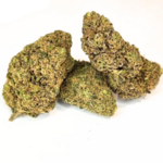 CRITICAL CHEESE