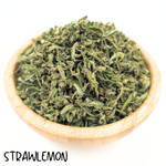 PHOTO POUR SITE (5)