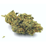 ALIEN OG (1)