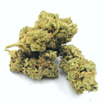 ALIEN OG