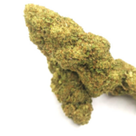 SILVER HAZE INDOOR