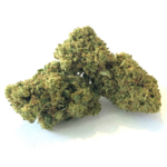 BZ1 PREMIUM