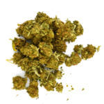 SB SKUNK (1)