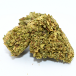 Silver Haze (2)