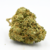 WHITE CRITICAL CBD Le Cannapeace (2)