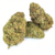 CRITICAL CHEESE (2)