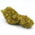 CANDY KUSH CBD LE CANNAPEACE