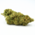 GIRL SCOUT COOKIES CBD LE CANNAPEACE
