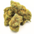 DOS SI DOS PREMIUM CBD LE CANNAPEACE