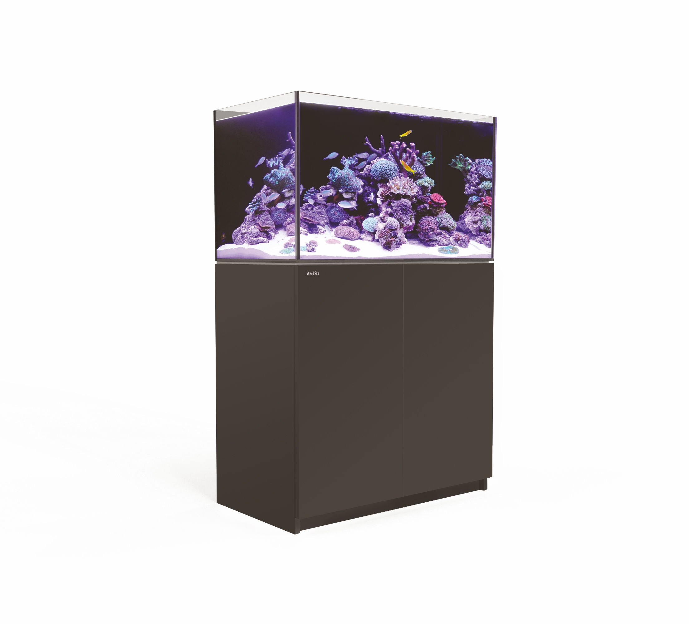 reefer-250-noir-redsea_bg