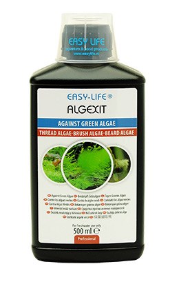 ALG