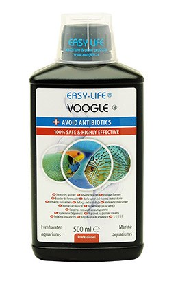 voo