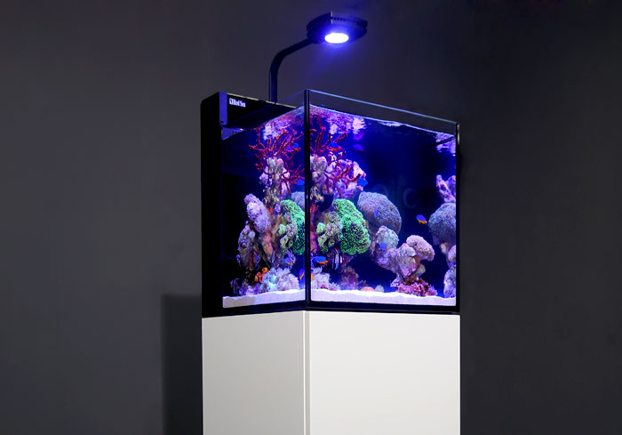 max-nano-side