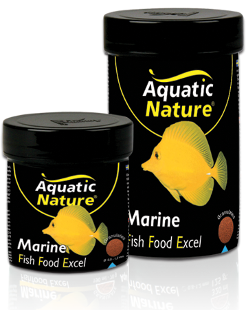 marine fish food-R