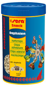 daphnies
