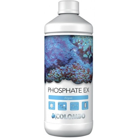 phosphate ex